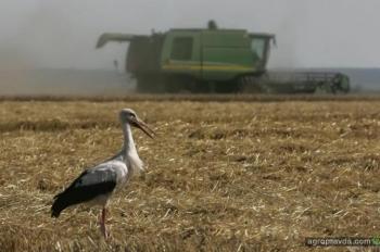 Украина увеличила экспорт агропродукции во все регионы мира