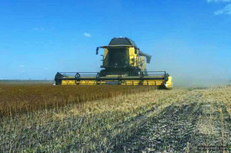 Демо-жнива з New Holland тривають на Кіровоградщині