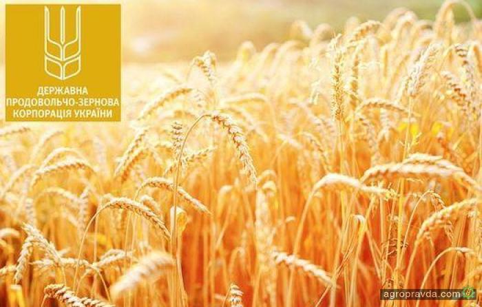 ГПЗКУ профинансировала сельхозпроизводителей на 350 млн грн