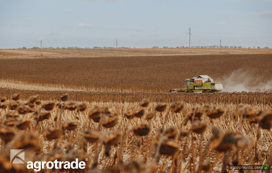 Група «Агротрейд» зібрала майже 350 тис. тонн зернових та олійних 