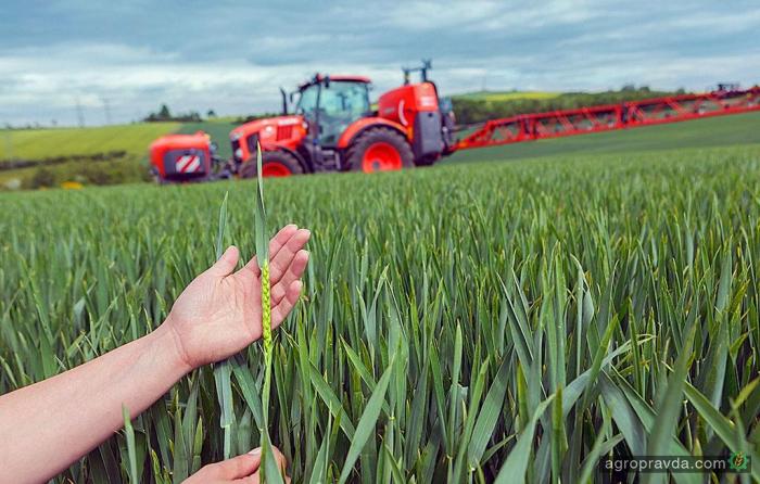 Кабмин запланировал на 2017 год прямую поддержку малых сельхозпроизводителей