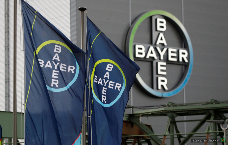 Існування Bayer опинилося під загрозою
