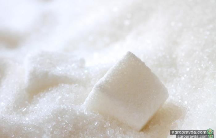 Экспорт сахара начинает расти