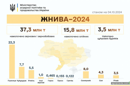 В Україні підбили підсумки жнив. скільки вдалося зібрати врожаю